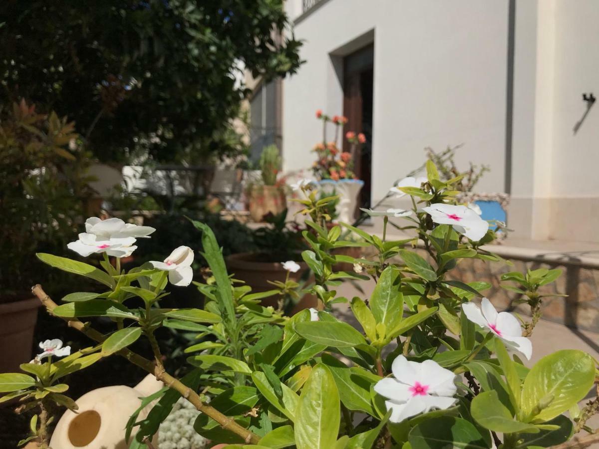 El Nur Bed & Breakfast San Vito Lo Capo Exterior photo